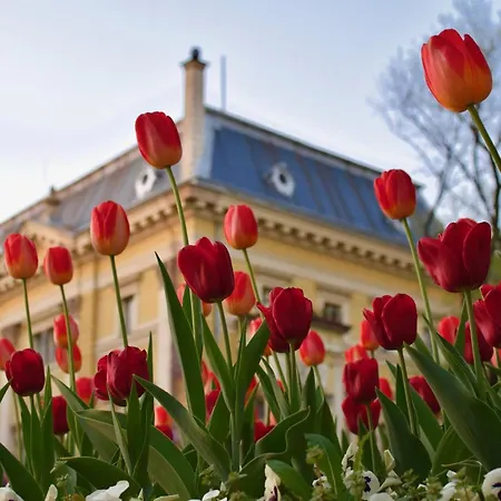 Spacious With Lovely Terrace * Sofía