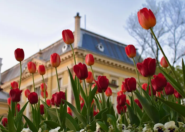 Spacious With Lovely Terrace * 소피아